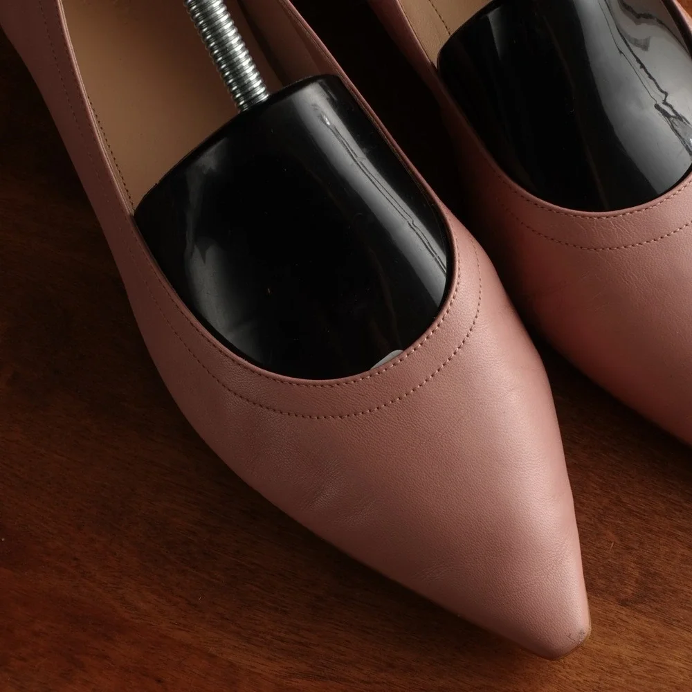 Everlane business reach career